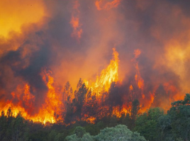 Mendocino Complex Fire