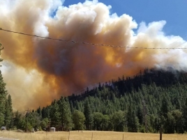 "Walker Fire"