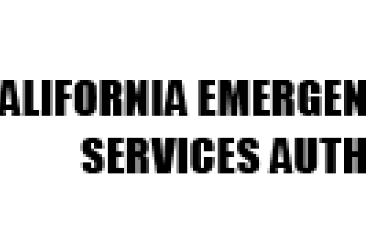 EMSA