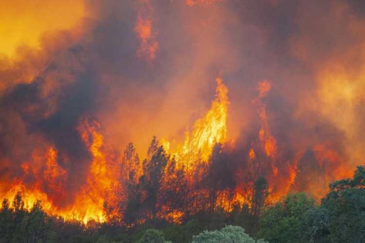 Mendocino Complex Fire