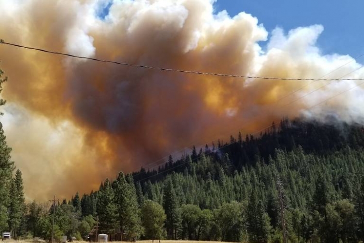 "Walker Fire"